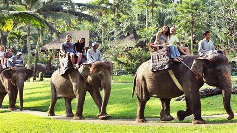 Elephant Ride Bali Volcano Kintamani Tour