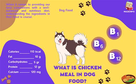 What is Chicken Meal in Dog Food? - Maze Info