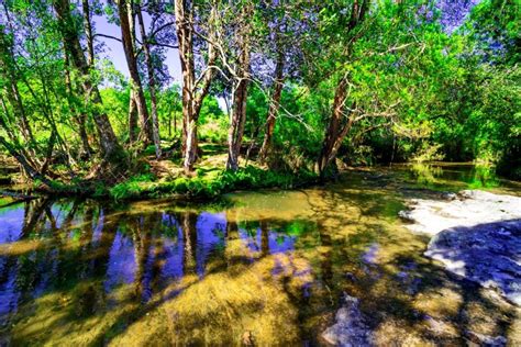 Fundo Bela Floresta Tropical E Riacho Na Floresta Profunda Foto E