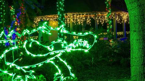 Holidays at Zoo Miami: Dazzling 'Zoo Lights' discount - South Florida on the Cheap