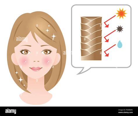 healthy cuticle hair woman Stock Photo - Alamy