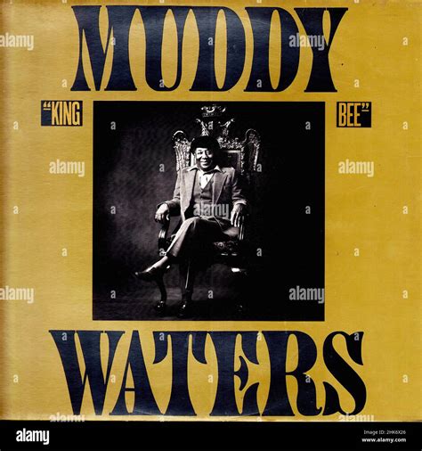 Vintage Vinyl Record Cover Waters Muddy King Bee Nl 1981 Stock