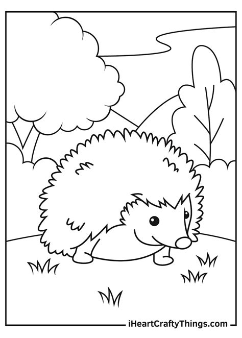 Hedgehog Coloring Pages (Updated 2021)