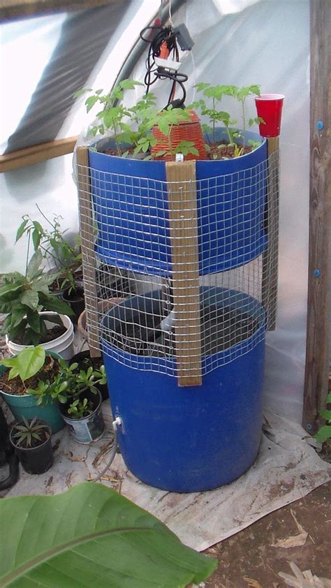 Diy Aquaponics System Build Tout Ce Que Vous Devez Savoir Sur L