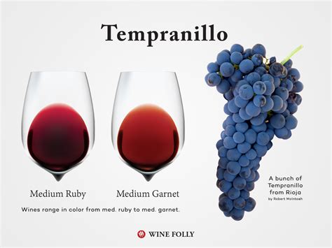 Todo Sobre La Tempranillo Club Tanino