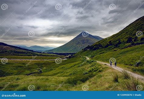 Scotland Highlands Landscape Scenery in Bridge of Orchy Nature T ...