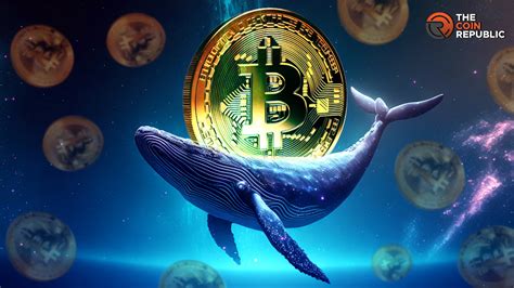 Ballenas Bitcoin Definición Métodos para Detectarlas y Estrategias