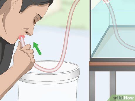 3 Ways To Start A Siphon Fish Tank WikiHow