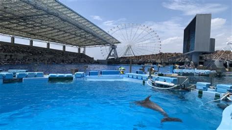 How to Go to Nagoya Aquarium: Tips for Hassle-Free Travel in 2021!