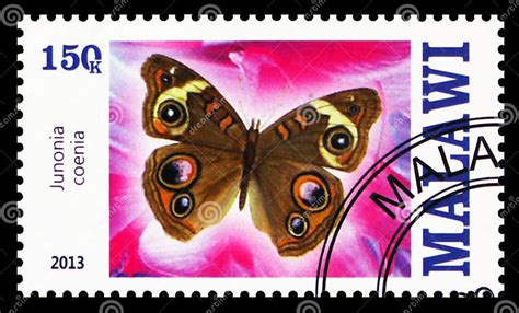 Postage Stamp Printed In Malawi Shows Junonia Coenia Butterflies Serie