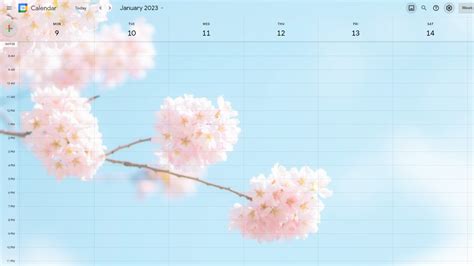 How to Add a Custom Photo Background Image to Google Calendar — PLAN A ...