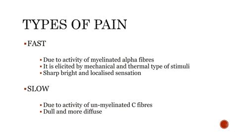 Physiology Of Pain Somatic Visceral And Referred Reflexes Ppt