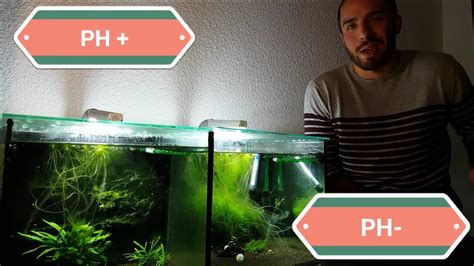 Como Subir O Bajar El Ph Del Acuario Youtube