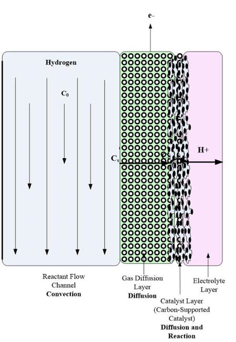 Gas Diffusion Layer Characteristics And Modeling