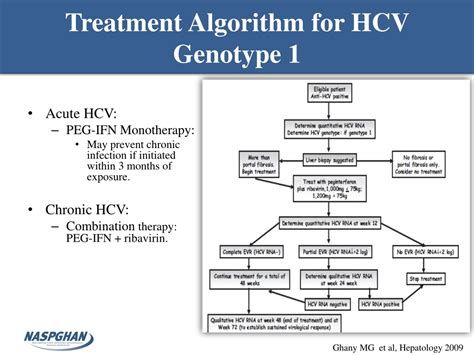 Ppt Viral Hepatitis Powerpoint Presentation Free Download Id1069798