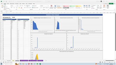 Excel Template SaaS Cohort Framework Analyze Your Customers Excel