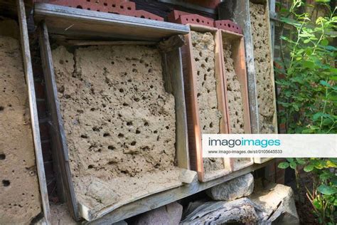 Wildbienen Nisthilfe Aus Einem Lehm Sand Gemisch Deutschland Selfmade