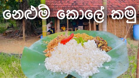 නෙළුම් කොලේ බත් එක Lets Eat Lotus Leaf Rice Youtube