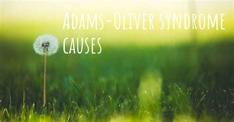 Which Are The Causes Of Adams Oliver Syndrome