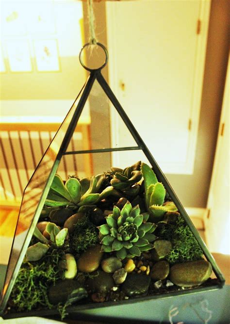 DIY Terrarium: Simple, Easy, and Modern Greenery