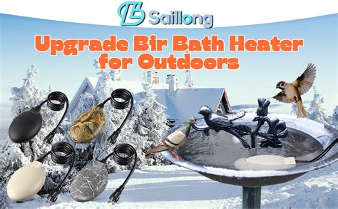 Amazon Saillong Upgrade Bird Bath Heater For Outdoors In Winter