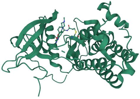 Small Molecule EGFR Inhibitors as Anti-Cancer Agents: Discovery