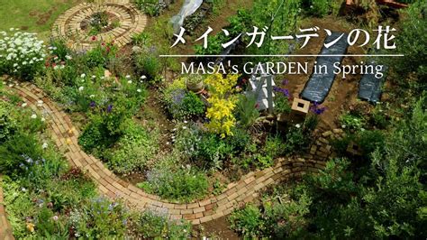 【庭Vlog】僕のガーデンツアー | ガーデニング | gardening - YouTube