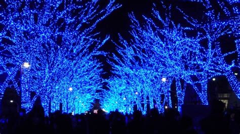 Christmas Lights in Tokyo in 2022 | Travel Blog by a Japanese Girl