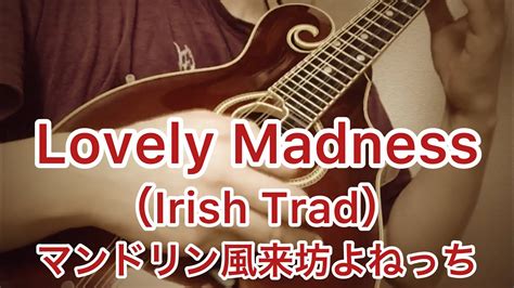 Lovely Madness Irish Trad ／マンドリン風来坊よねっち Youtube