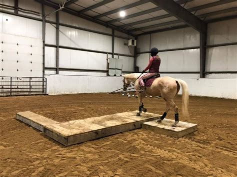 Blue Magnum Stable Mountain Trail Clinic Blue Magnum Stables Richmond