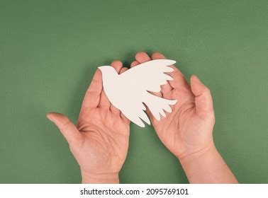 Holding White Dove Hands Symbol Peace Stock Photo 2091381811 Shutterstock