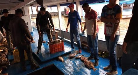 Três toneladas de pescado ilegal são apreendidas dentro de barco em Coari