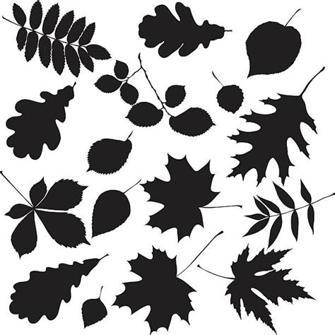 2,900+ Leaves Falling Silhouette Stock Illustrations, Royalty-Free ...