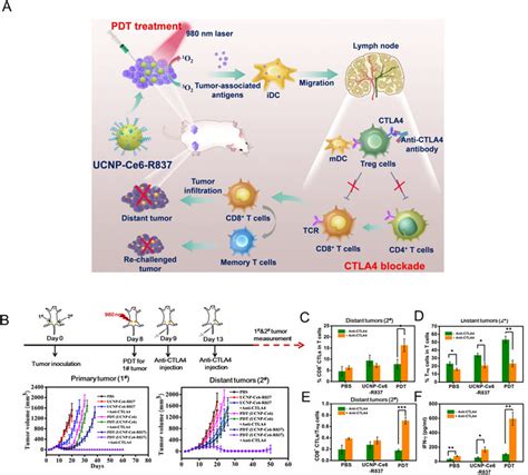 Nir Triggered Pdt Combinatorial Therapy With Immune Checkpoint