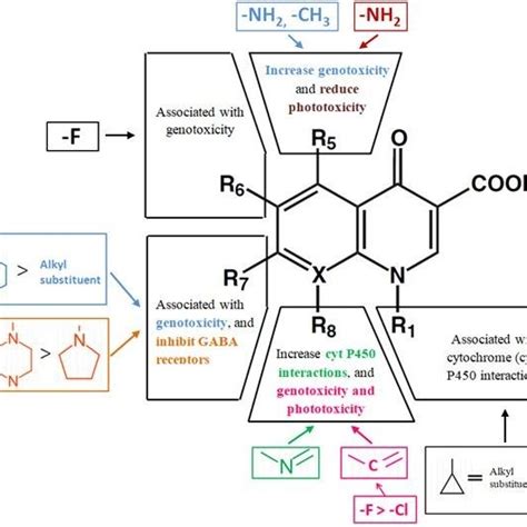 (PDF) Quinolone Antibiotics