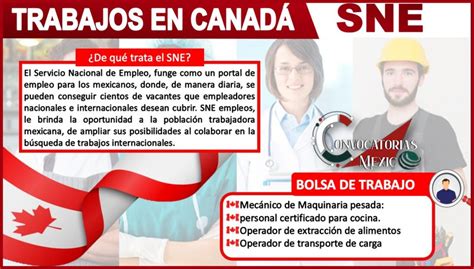 Trabajos en Canadá SNE 2023 2024 enero 2025