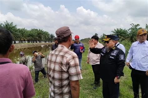 Tim Pemkab Muba Ungkap Dugaan Pelanggaran PT Wana Potensi Guna