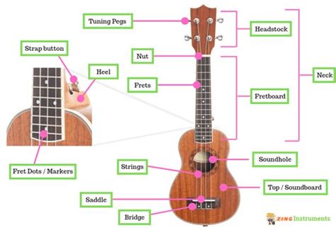 Parts Of A Ukulele Diagram