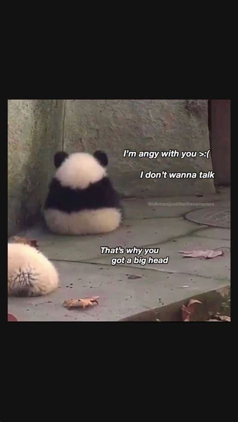 Upset Baby Panda Reaction/Wholesome Meme