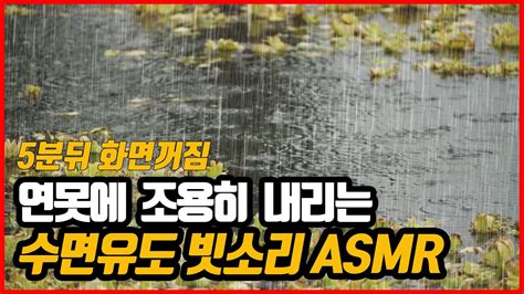 연못에 내리는 조용한 빗소리 Asmr 5분뒤 검은화면 잠잘오는 비내리는 소리 불면증 스트레스 완화 비오는소리 수면