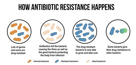 322 Antibiotic resistance Vector Images | Depositphotos