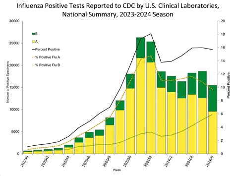 FluView Summary ending on February 10, 2024 | CDC