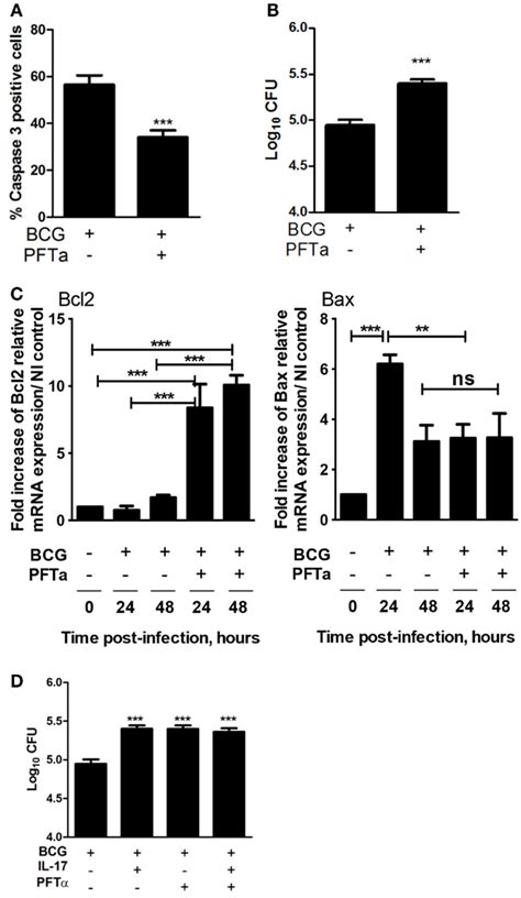 Blockade Of P53 Impairs Apoptosis Of Infected Macrophages And Bacterial