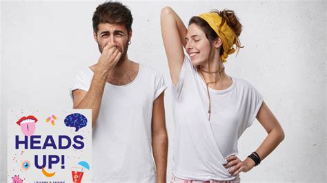 Er Elbiler Egentlig Miljøvennlige