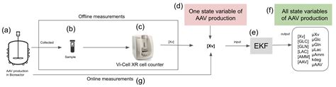 Processes Free Full Text Monitoring The Recombinant Adeno Associated Virus Production Using