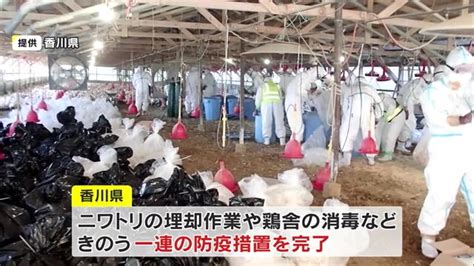 今季2・3例目の観音寺市の鳥インフル 計約6万8000羽を殺処分 養鶏場の防疫措置が完了【香川】 Ohk 岡山放送