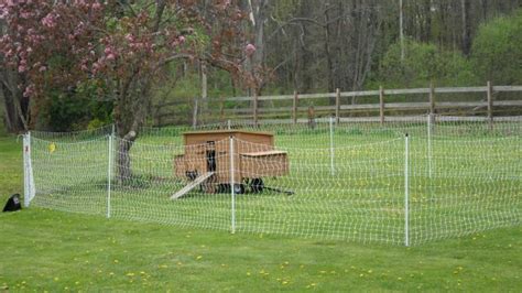 Netting To Cover Top Of Chicken Run Page 3 Backyard Chickens Learn How To Raise Chickens