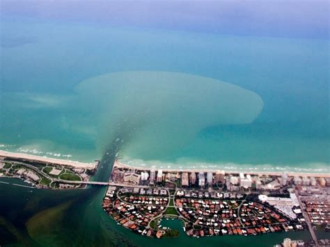 Polluted Oceans | National Geographic