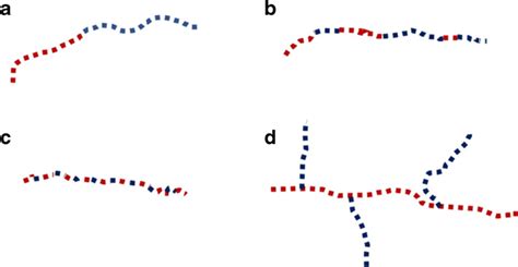 Different Types Of Copolymers A Diblock B Random C