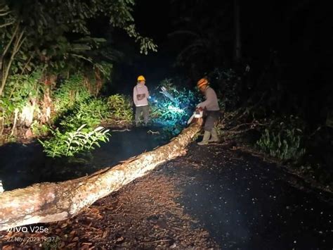 Mulai Turun Hujan BPBD Himbau Warga Waspada Ancaman Bencana Alam